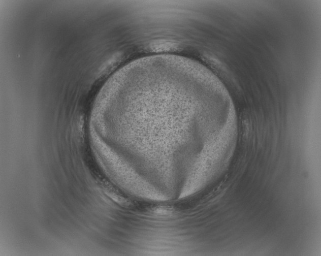 X0000078300308200611172155