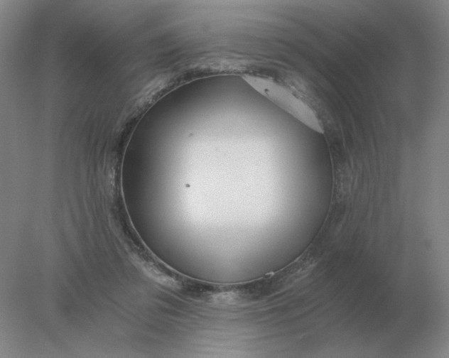 X0000078300309200611172155