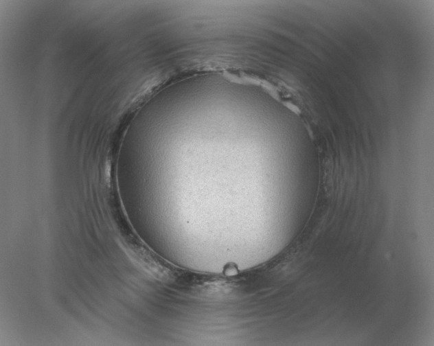 X0000078300310200611172155