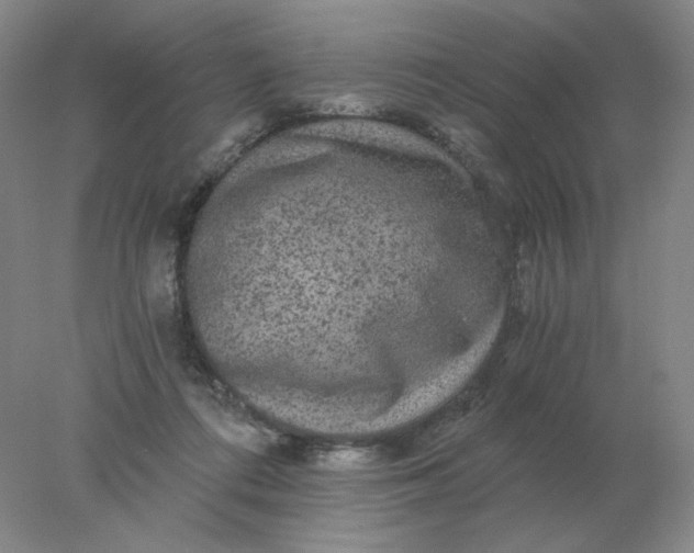 X0000078300312200611172155