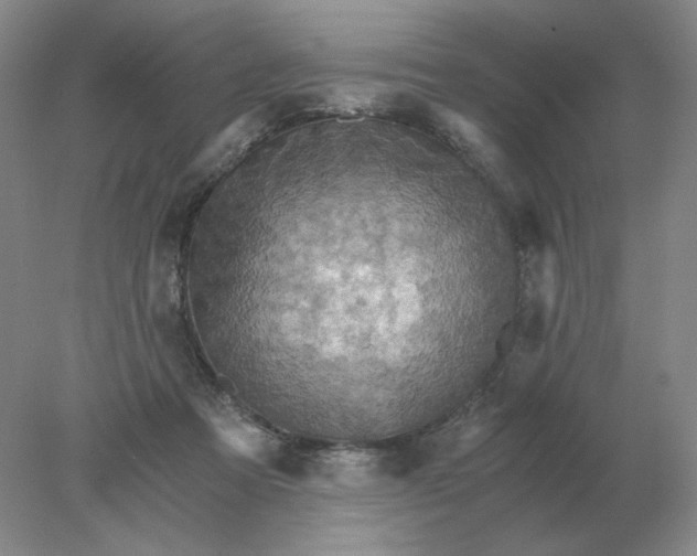 X0000078300313200611172155