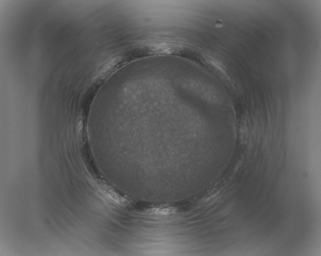 X0000078300314200611172155