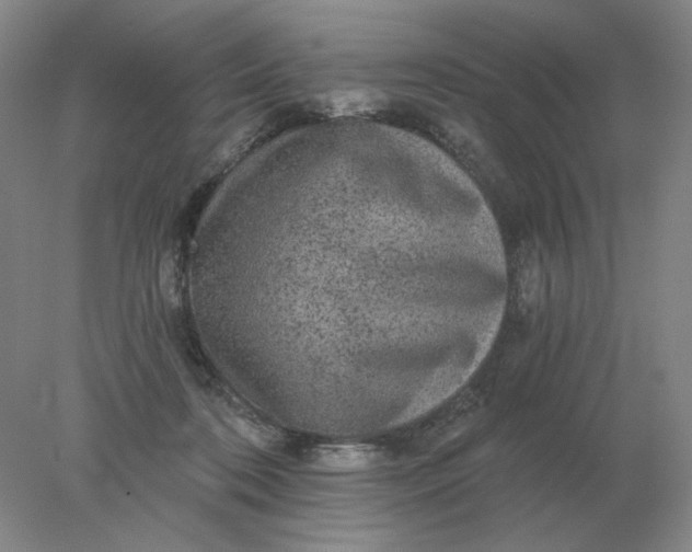 X0000078300316200611172155