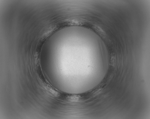 X0000078300318200611172155