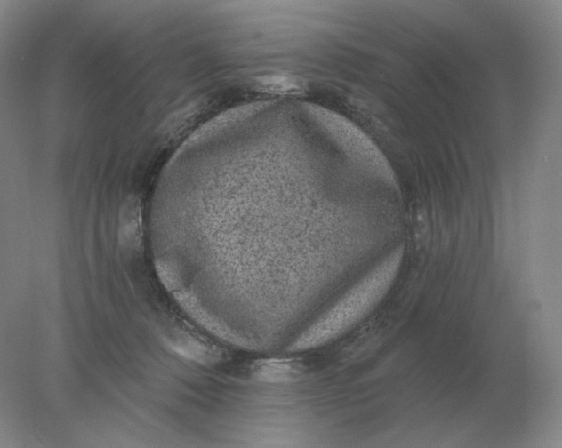 X0000078300320200611172155