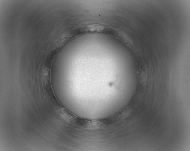 X0000078300321200611172155