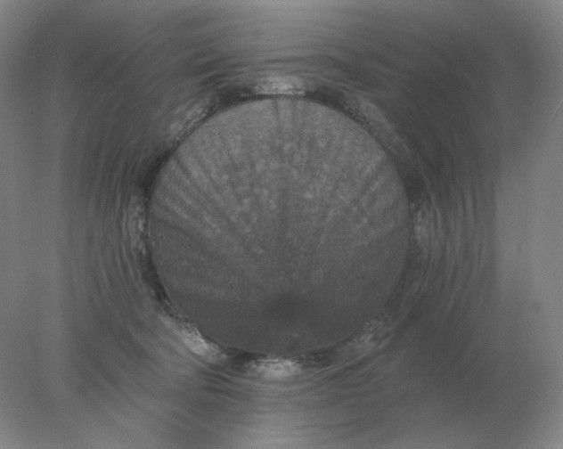 X0000078300322200611172155