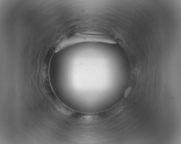 X0000078300323200611172155