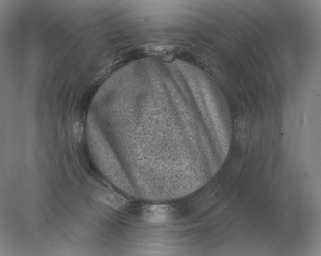 X0000078300324200611172155