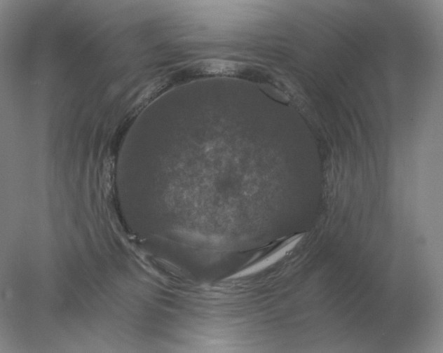 X0000078300325200611172155