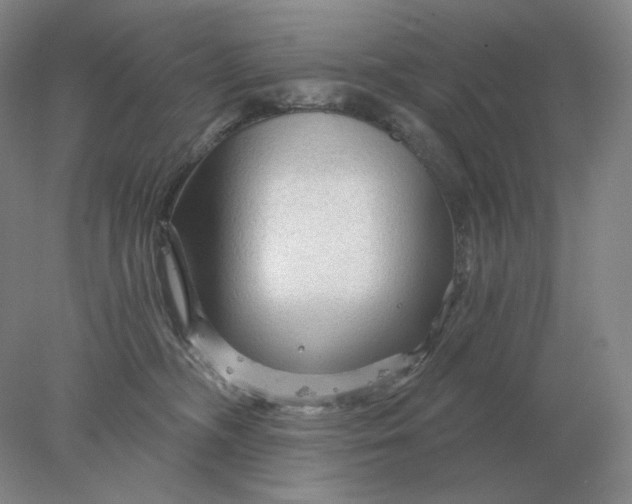 X0000078300326200611172155