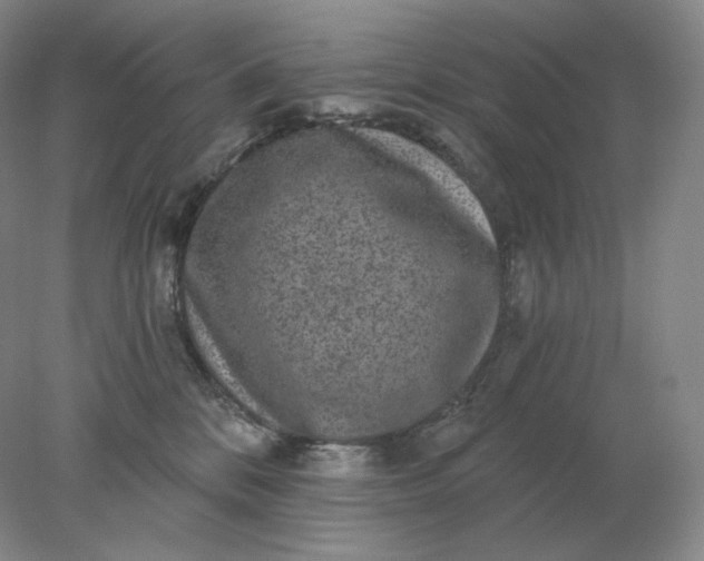 X0000078300328200611172155