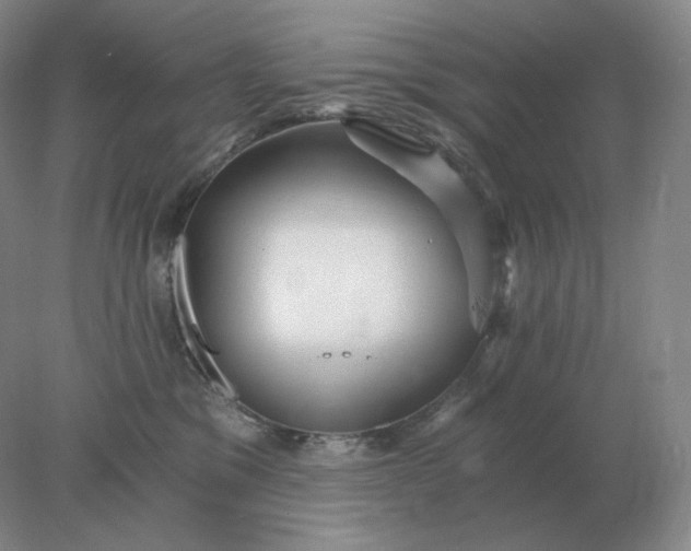 X0000078300329200611172155