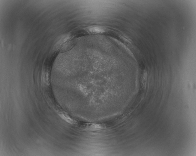 X0000078300330200611172155