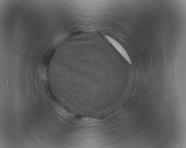 X0000078300331200611172155