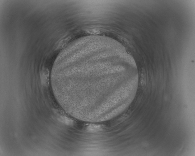 X0000078300332200611172155