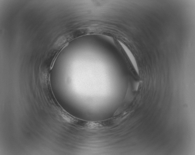 X0000078300333200611172155