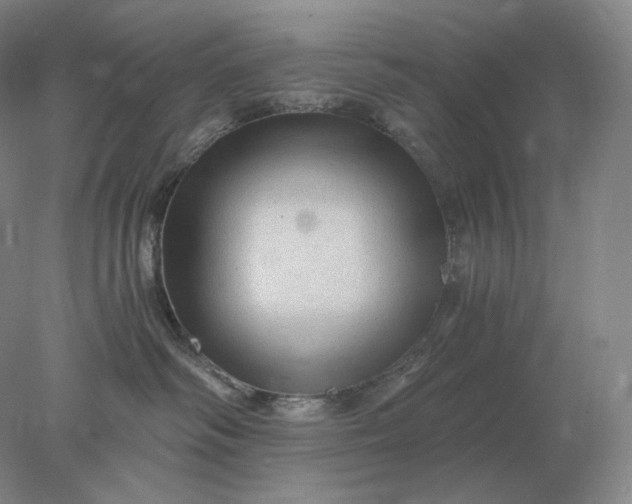 X0000078300334200611172155