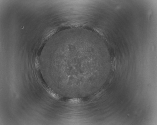 X0000078300335200611172155