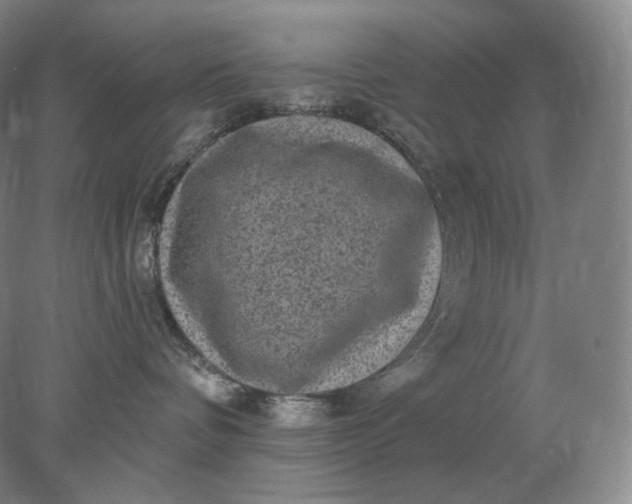 X0000078300336200611172154