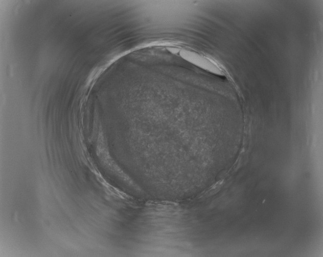 X0000078300337200611172154