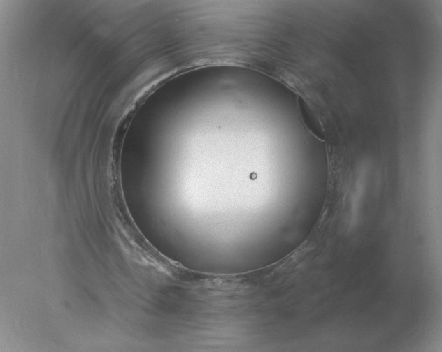 X0000078300338200611172154