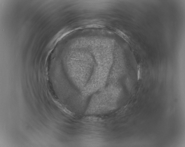 X0000078300339200611172154