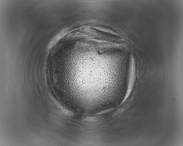 X0000078300341200611172154