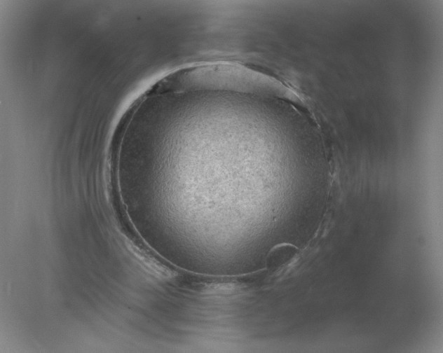 X0000078300342200611172154