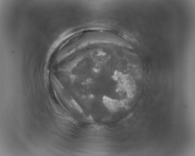 X0000078300343200611172154