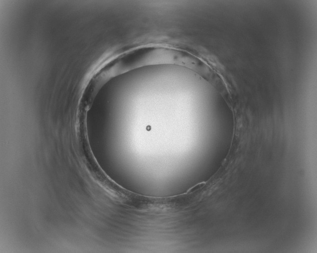 X0000078300344200611172154