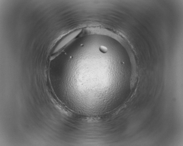 X0000078300345200611172154