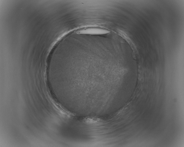 X0000078300346200611172154