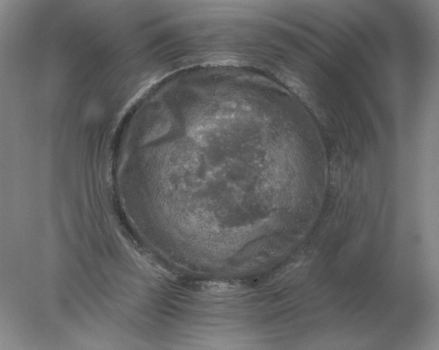 X0000078300347200611172154