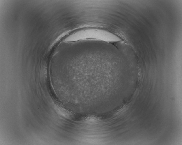 X0000078300348200611172154