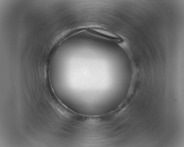 X0000078300350200611172154