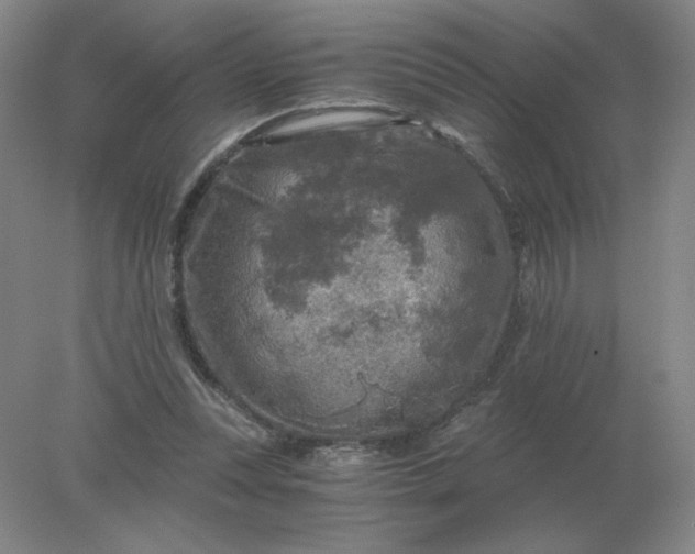 X0000078300351200611172154