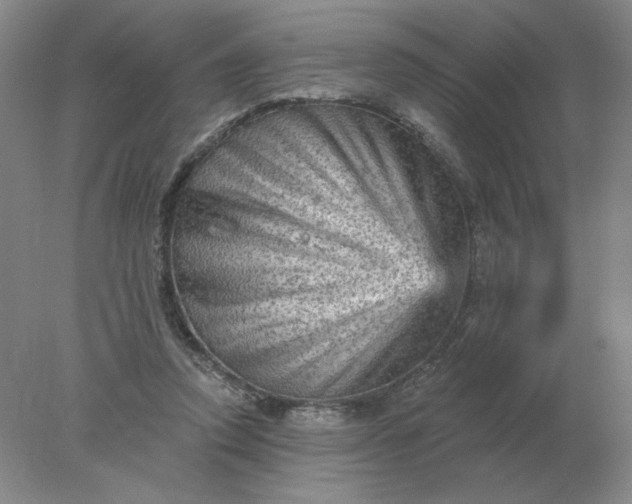 X0000078300354200611172154