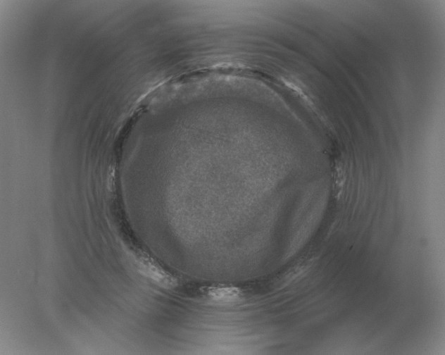 X0000078300355200611172154