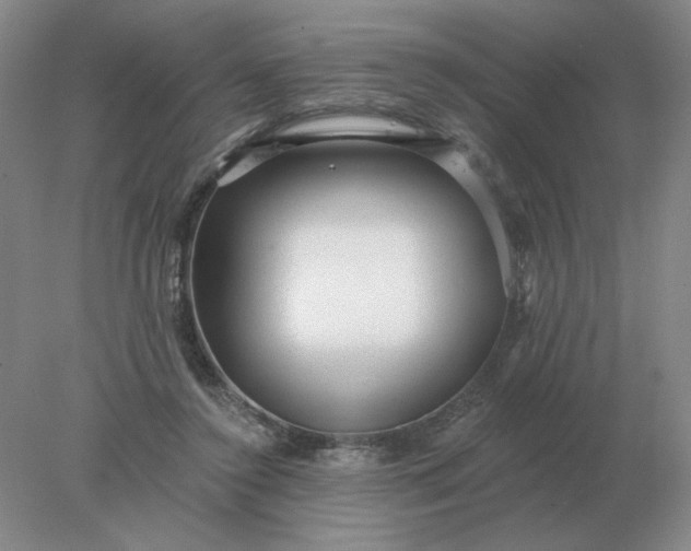 X0000078300356200611172154