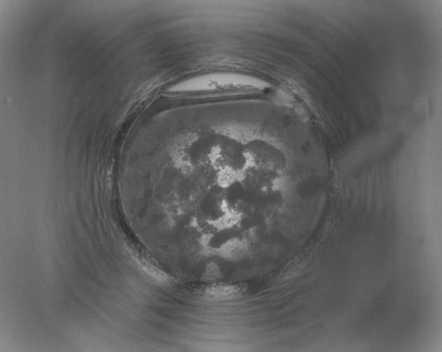 X0000078300357200611172154