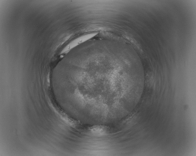 X0000078300358200611172154