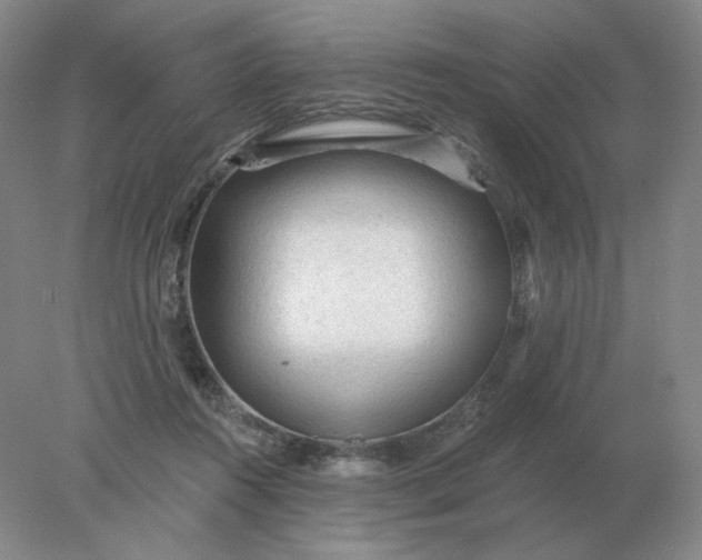 X0000078300360200611172154