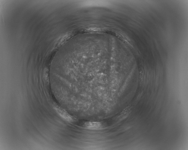 X0000078300361200611172154