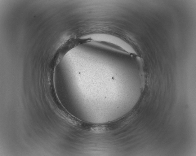 X0000078300362200611172154