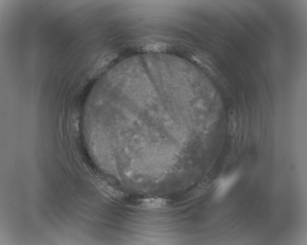 X0000078300363200611172154