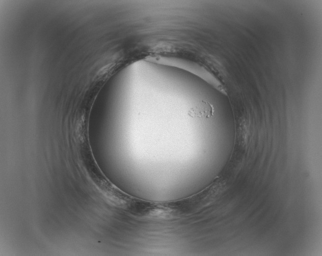 X0000078300364200611172154