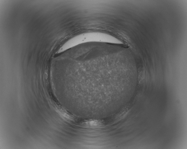 X0000078300365200611172154