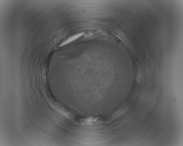 X0000078300366200611172154