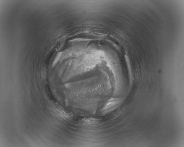 X0000078300367200611172154